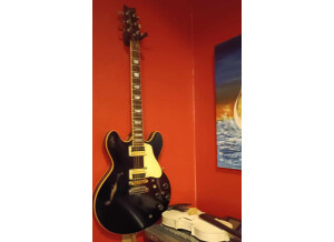 Gibson ES-369 (13478)
