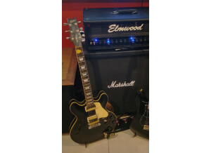 Gibson ES-369 (32312)