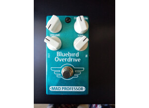bluebird 1