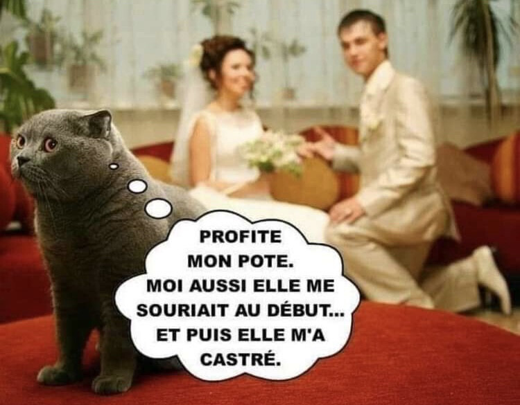 6076901.jpeg 6076901.jpeg