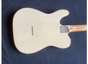 Fender Deluxe Nashville Tele [2016-2020] (58656)