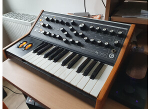 Moog Music Subsequent 25 (74582)