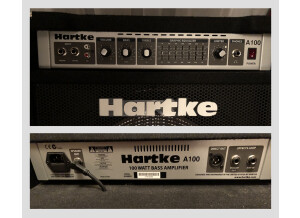 Hartke A100