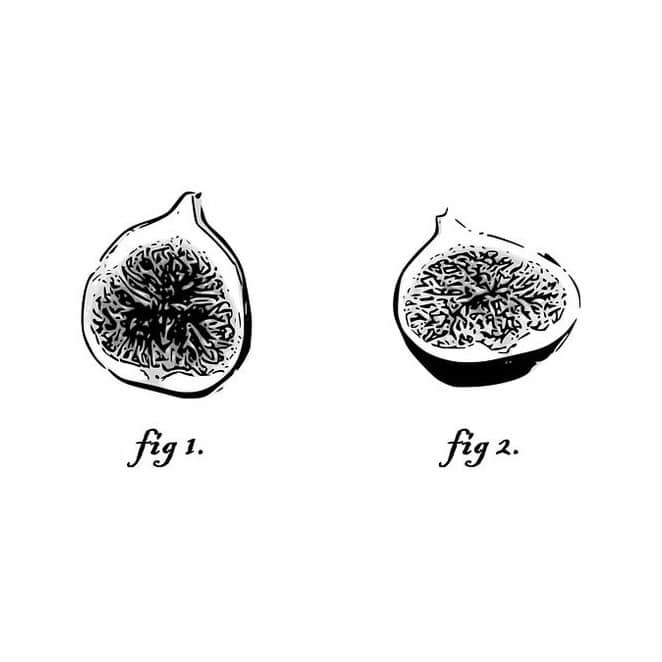 6078246.jpg 6078246.jpg
