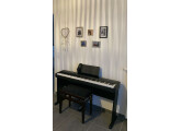 Vend piano numérique Casio CDP-100