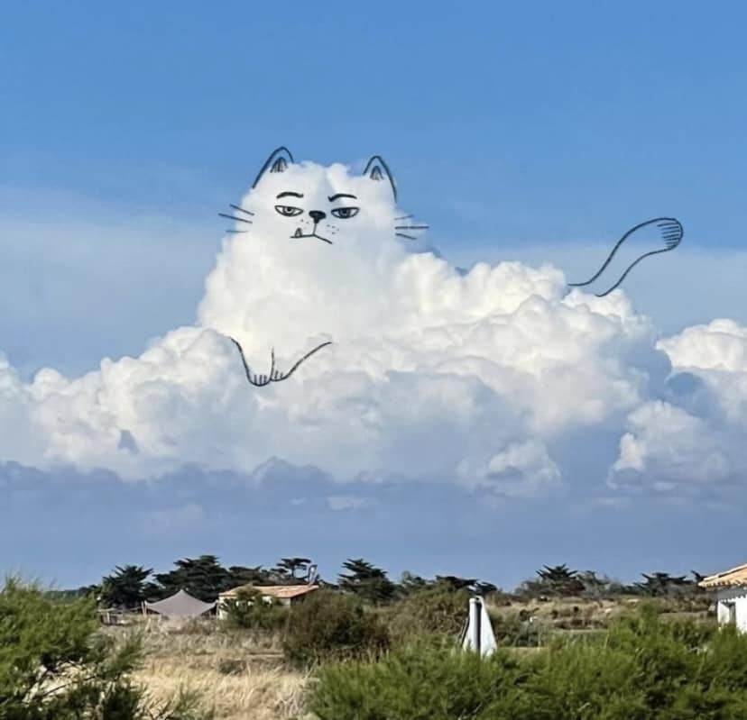 6078952.jpg 6078952.jpg