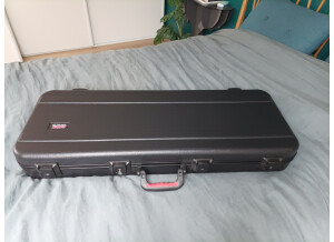 Gator Cases GKPE-49-TSA (7876)