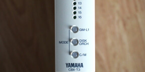 Yamaha CBX-T3