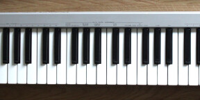 Clavier MIDI Roland PC-200 MkII