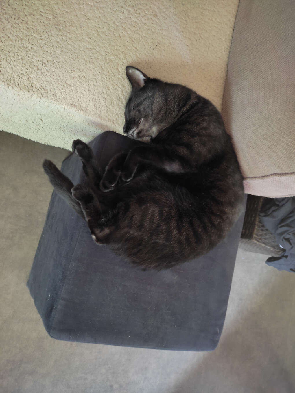 6080233.jpg 6080233.jpg