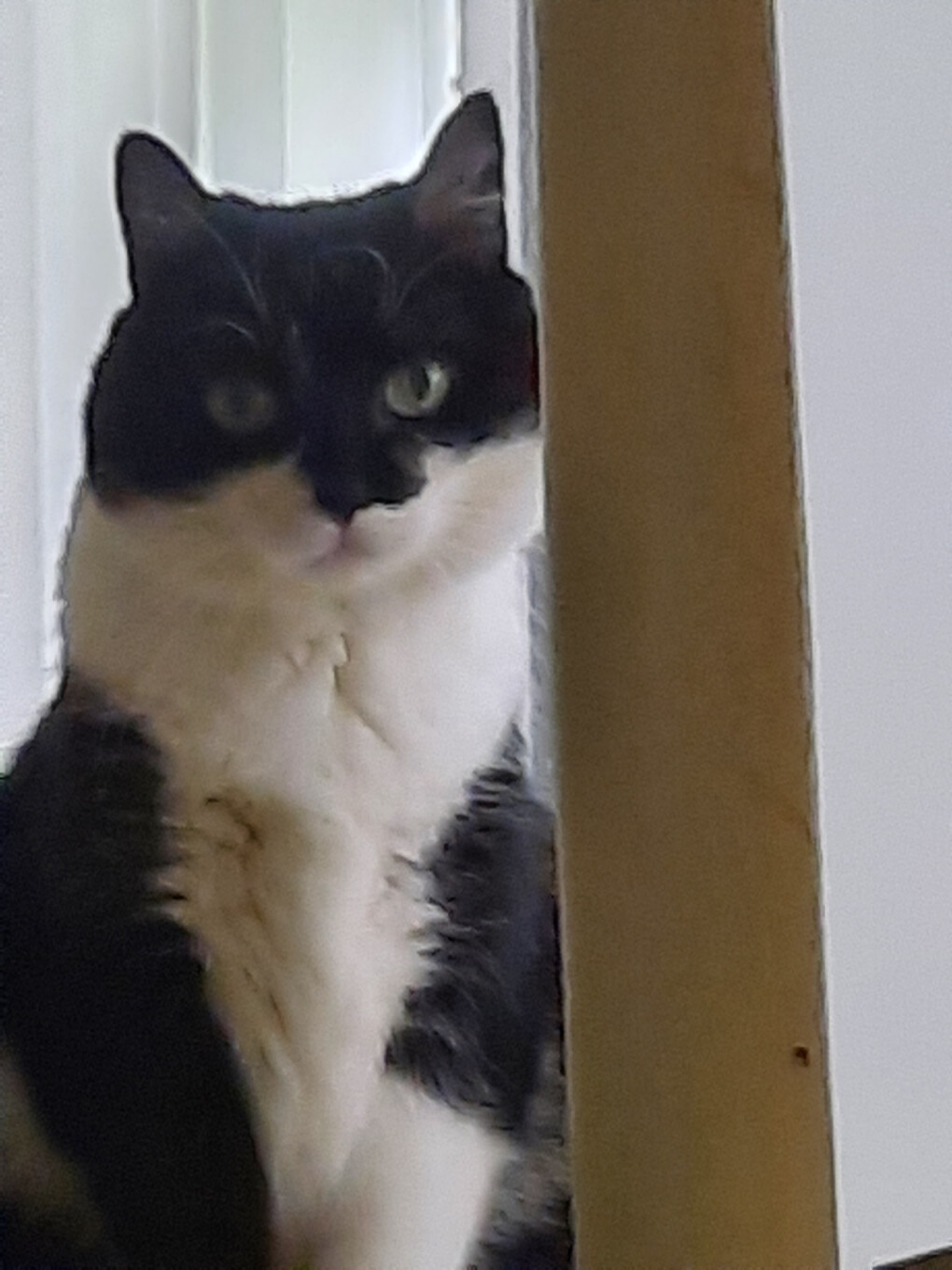 6080401.jpg 6080401.jpg