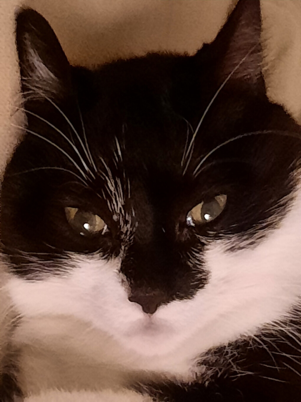 6080406.jpg 6080406.jpg