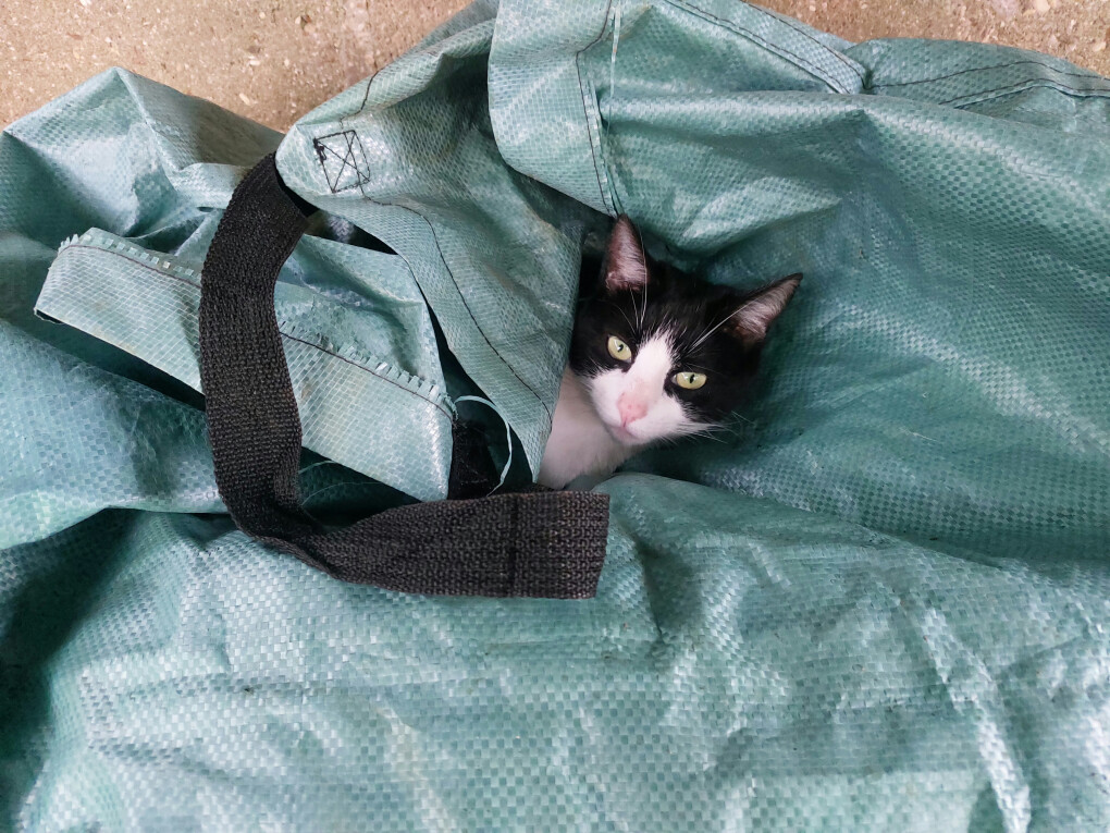 6080408.jpg 6080408.jpg