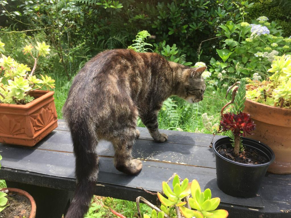 6080524.jpg 6080524.jpg