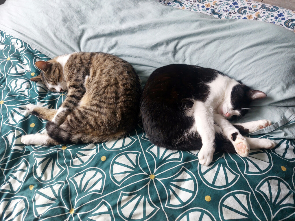 6080742.jpg 6080742.jpg