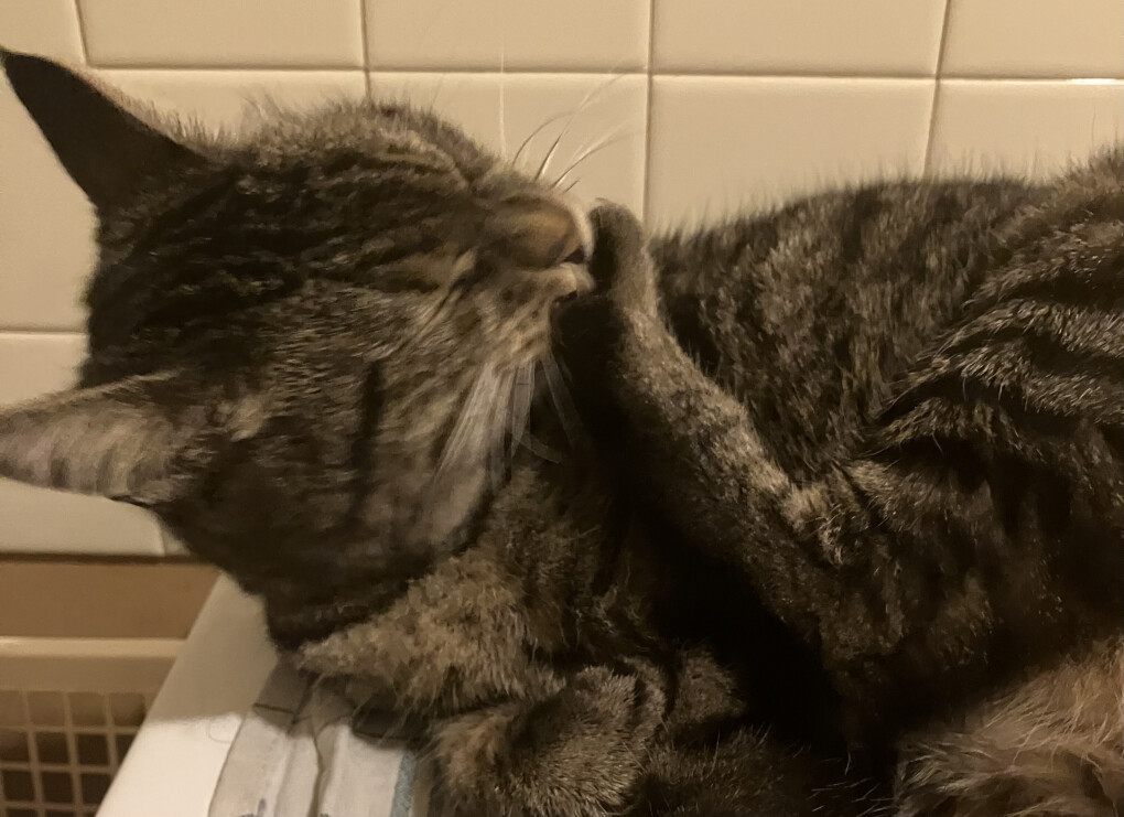 6080861.jpeg 6080861.jpeg