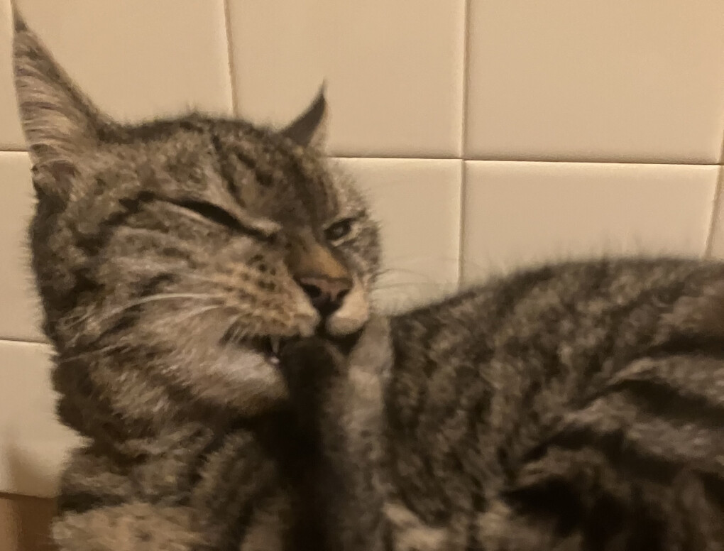 6080862.jpeg 6080862.jpeg