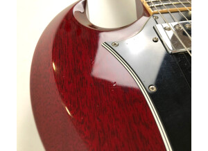 Gibson SG Standard (62224)