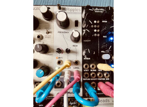 Mutable Instruments Ripples (45393)