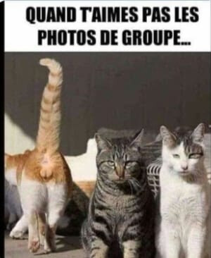 6081423.jpg 6081423.jpg