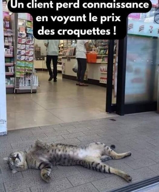 6081424.jpg 6081424.jpg