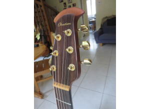 Ovation 4 19 04