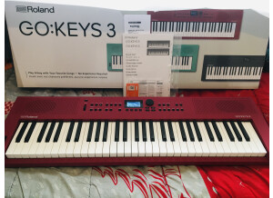 Roland Go:Keys 3