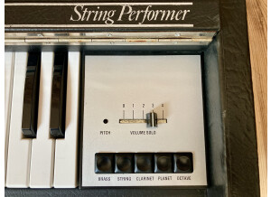 Hohner String Performer