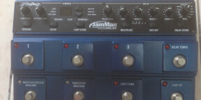 Jamman Delay Looper/Sampler