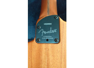 Fender American Acoustasonic Stratocaster (74383)