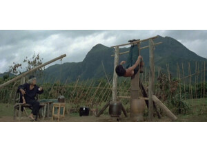 drunkenmaster 3-1980579121