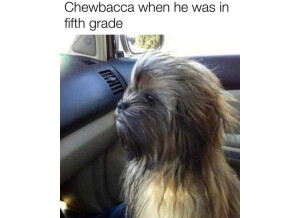 Chewbacca CM2-FB