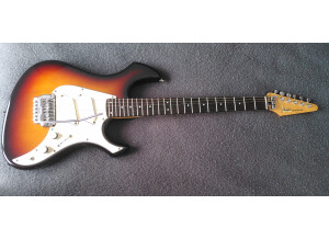 Fender Performer (15023)