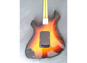 Fender Performer (36587)