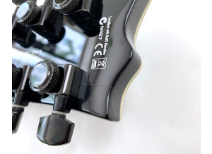 LTD EC-1000 Black (11693)