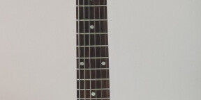 Gibson Les Paul DC tribute junior upgradée Special blue stain