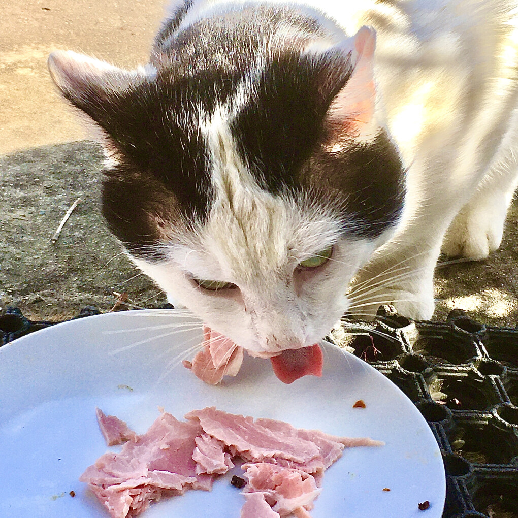 6086134.jpg 6086134.jpg