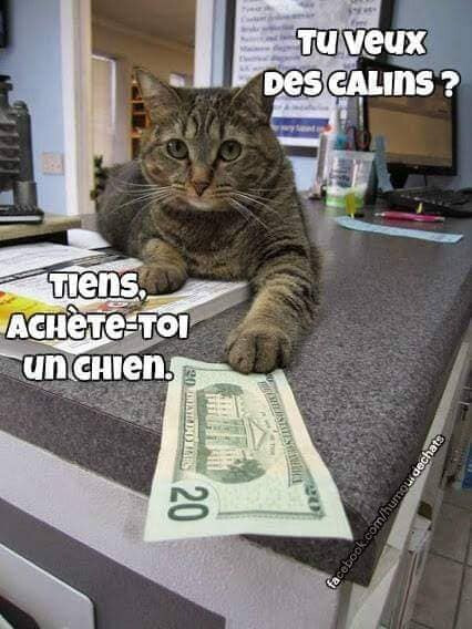 6086144.jpg 6086144.jpg