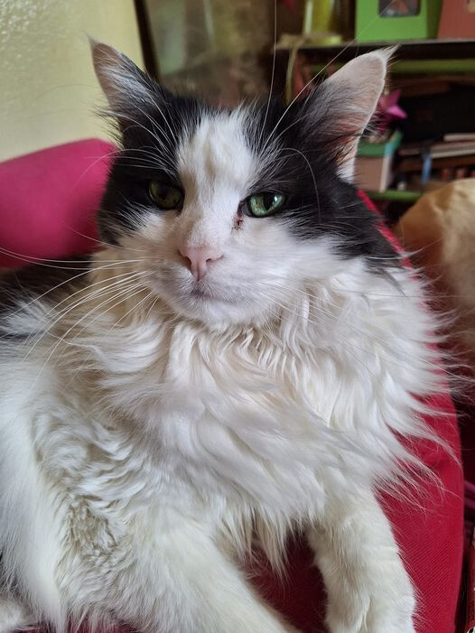 6086212.jpg 6086212.jpg