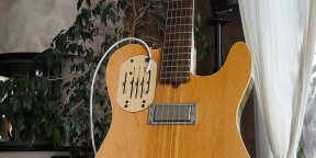 Guitare GODIN Acousticaster