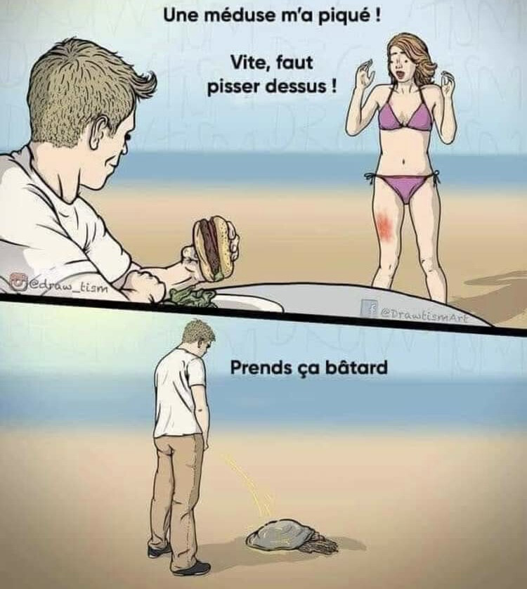 6087877.jpeg 6087877.jpeg