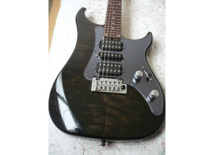 Vigier Excalibur Shawn Lane Master Signature - Clear Black Rosewood