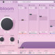 Bloom Bloom
