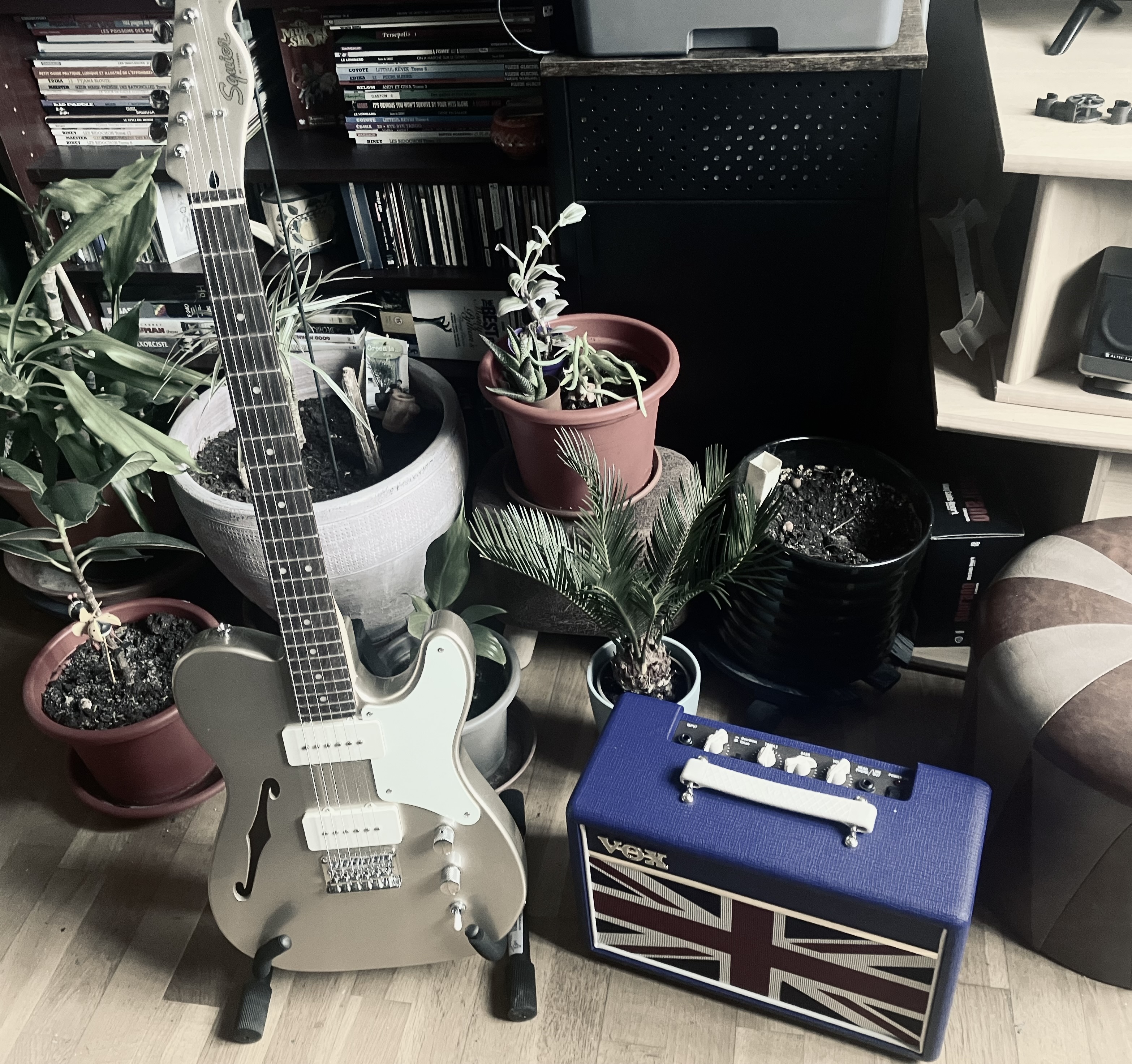 Squier Paranormal Cabronita Telecaster Thinline