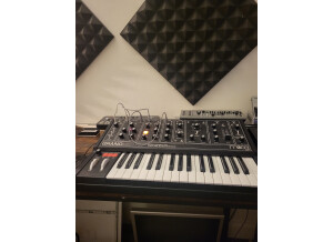 Moog Music Grandmother (56717)