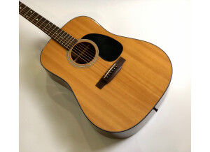 Martin & Co D-18 (39741)