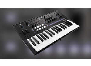 Korg Wavestate MKII (12194)