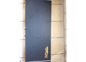 D'angelico Deluxe Bedford (2993)