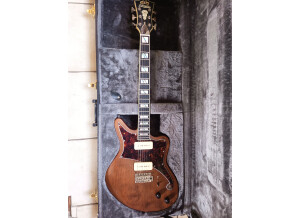 D'angelico Deluxe Bedford (97349)