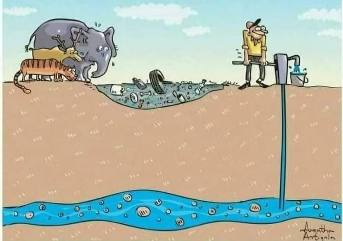 6095857.jpg 6095857.jpg